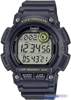 Наручные часы Casio WS-2100H-8A - фото, картинка Наручные часы Casio WS-2100H-8A - фото