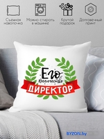 Декоративная подушка Print Style Его величество директор 40x40plat71 - фото