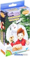 Набор для опытов Bondibon Науки с Буки. Тайны веков. Снежный человек ВВ4784 - фото