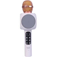 Микрофон Wster WS-1816 (белый) - фото