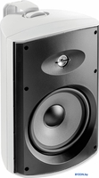 Настенная акустика Focal 100 OD8 (белый) - фото2