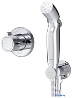 Гигиенический душ AM.PM X-Joy F0H85A400 - фото