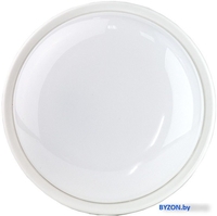 Уличный настенный светильник Glanzen RPD-0003-15 - фото2
