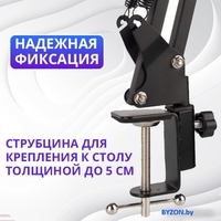 Стойка Zarrumi Stand D47 Pro - фото2