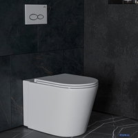 Унитаз приставной Roxen Antares 650185-01 Rimless Soft Close - фото2