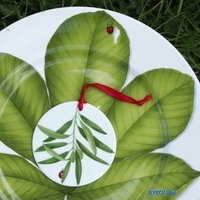 Блюдо Taitu Freedom Leaf 1-86-D - фото2