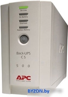 Источник бесперебойного питания APC Back-UPS CS 500VA (BK500EI) - фото