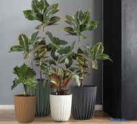 Кашпо Lamela Mira LA516-74 (кремовый) - фото2