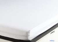 Постельное белье Ambesonne Натяжная 90x200 bssp 0001 - фото