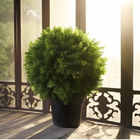 Искусственное растение Merry Bear Home Decor Туя шаровидная KDA0255 - фото2