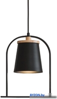 Подвесная люстра Home Light Астерия A014-0-B (черный) - фото, картинка Подвесная люстра Home Light Астерия A014-0-B (черный) - фото