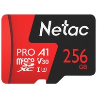 Карта памяти Netac MicroSDXC 256GB V30/A1/C10 Netac P500 Extreme Pro с адаптером - фото