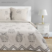 Постельное белье Этель Ушастые совы 3988361 - фото