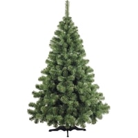 Ель Бифорес Арктика 2.1 м - фото