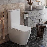 Унитаз напольный Roxen Wailet Rimless Soft Close 600185-01 - фото