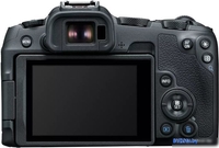 Беззеркальный фотоаппарат Canon EOS R8 Kit RF 24-50mm F4.5-6.3 IS STM - фото2