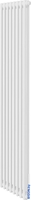 Стальной трубчатый радиатор Royal Thermo Insignia VC2180 - 08 секций RAL9016 - фото
