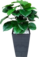 Искусственное растение Forgarden Филодендрон BN11137 - фото