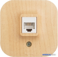 Розетка Legrand Quteo 782274 (дерево) - фото2