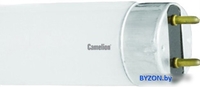 Люминесцентная лампа Camelion FT8-15W/33 G13 15 Вт 5874 - фото
