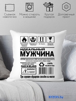 Декоративная подушка Print Style 40x40hod24 - фото, картинка Декоративная подушка Print Style 40x40hod24 - фото