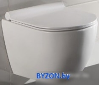 Унитаз CeramaLux TR 2196 - фото