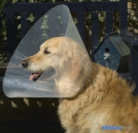 Защитный воротник Beeztees 796006 (22-25/7.5 см) - фото