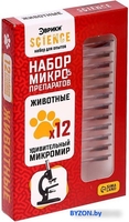Набор для опытов Эврики Набор микропрепаратов. Животные 7670831 - фото