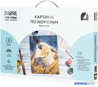 Картина по номерам Три совы Кролик КХ_44099 - фото, картинка Картина по номерам Три совы Кролик КХ_44099 - фото