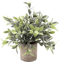 Искусственное растение Sundays Home PB05-12 6405000719C - фото