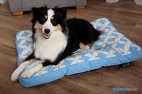 Лежак Scruffs Florence 820853 (голубой) - фото2