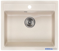 Кухонная мойка Wisent 600-30W (с сифоном GER013) - фото