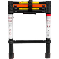 Лестница RockForce RF-UP260 (9 ступеней) - фото