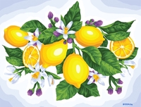 Три совы Лимоны КХ4050_53908 - фото, картинка Три совы Лимоны КХ4050_53908 - фото