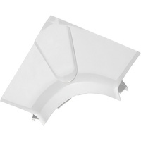 Заглушка для кабель-канала Legrand DLP 010658 - фото, картинка Заглушка для кабель-канала Legrand DLP 010658 - фото