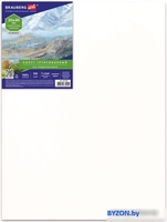 Холст для рисования BRAUBERG Art 192196 - фото