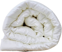 Одеяло Andreas Roti Стеганое 2.0 ОС020301.2961 (175x205, белый) - фото2