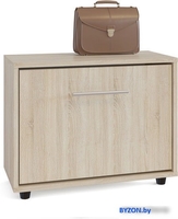 Сокол ТП-1 дуб сонома ШОТП1С5 - фото