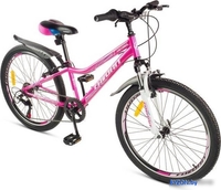 Велосипед Favorit Victoria 24VS VIC24V12MG - фото2, картинка2 Велосипед Favorit Victoria 24VS VIC24V12MG - фото2