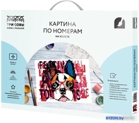 Картина по номерам Три совы Стильный французский бульдог КХ_44129 - фото, картинка Картина по номерам Три совы Стильный французский бульдог КХ_44129 - фото