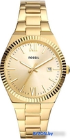 Наручные часы Fossil Scarlette Three-Hand ES5299 - фото, картинка Наручные часы Fossil Scarlette Three-Hand ES5299 - фото