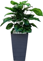 Искусственное растение Forgarden Филодендрон пестролистный BN11139 - фото