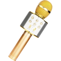 Микрофон Wster WS-858 (золотистый) - фото