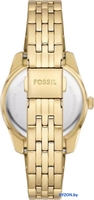 Наручные часы Fossil ES5338 - фото2, картинка2 Наручные часы Fossil ES5338 - фото2