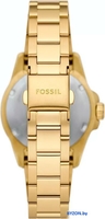 Наручные часы Fossil ES5350 - фото2, картинка2 Наручные часы Fossil ES5350 - фото2