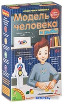 Набор для опытов Bondibon Науки с Буки Модель человека ВВ1840 - фото