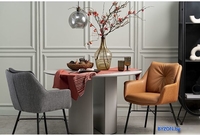 Стул Bergenson Bjorn Allar BB000022 (серый) - фото2