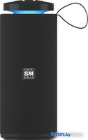 Беспроводная колонка Soundmax SM-PS5015B (черный) - фото