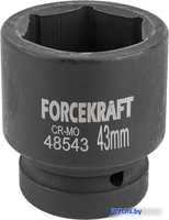 Головка слесарная ForceKraft FK-48543 - фото