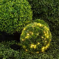 Световая сетка ЭРА ERAPS-SKW1 - фото